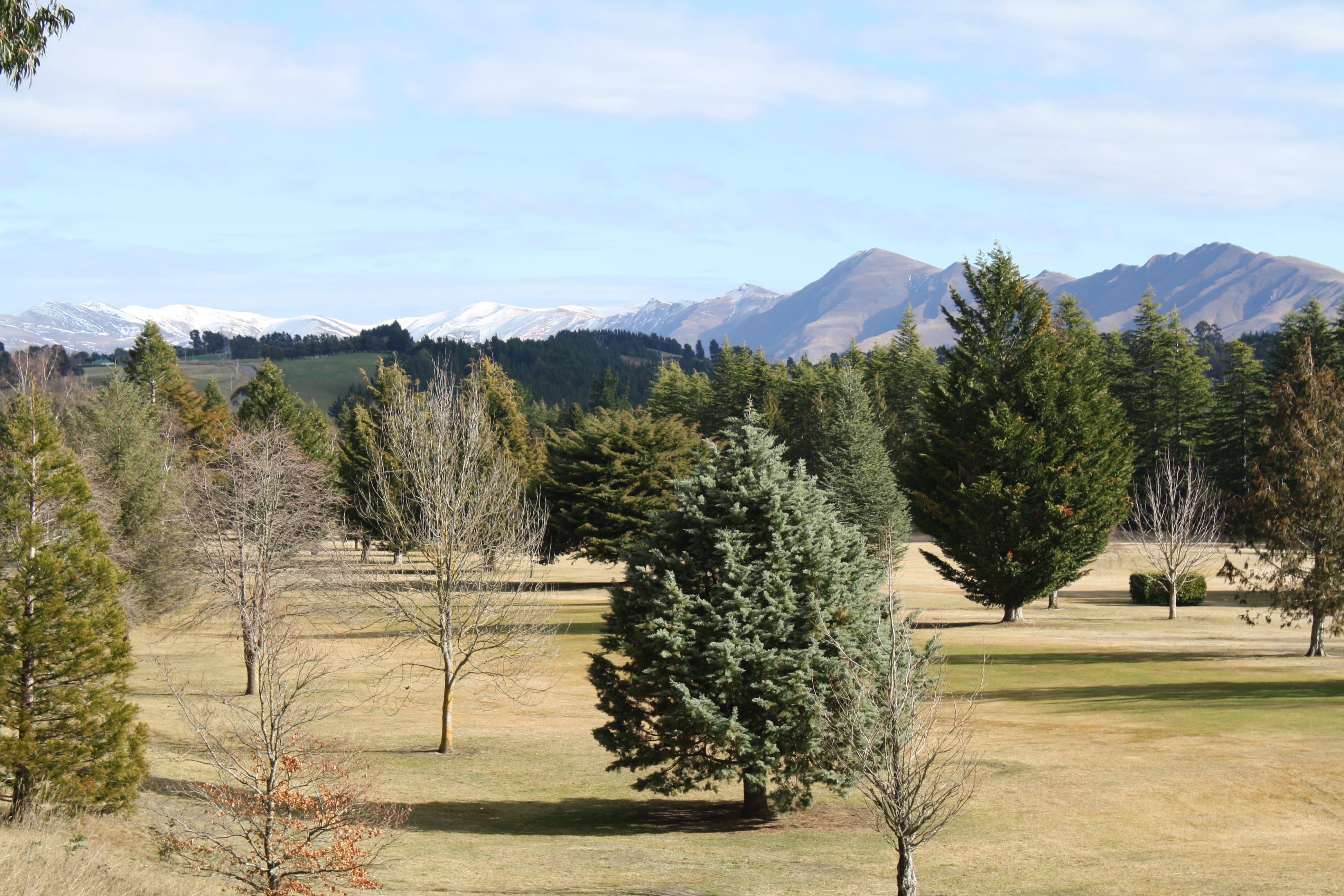 Image of golf course