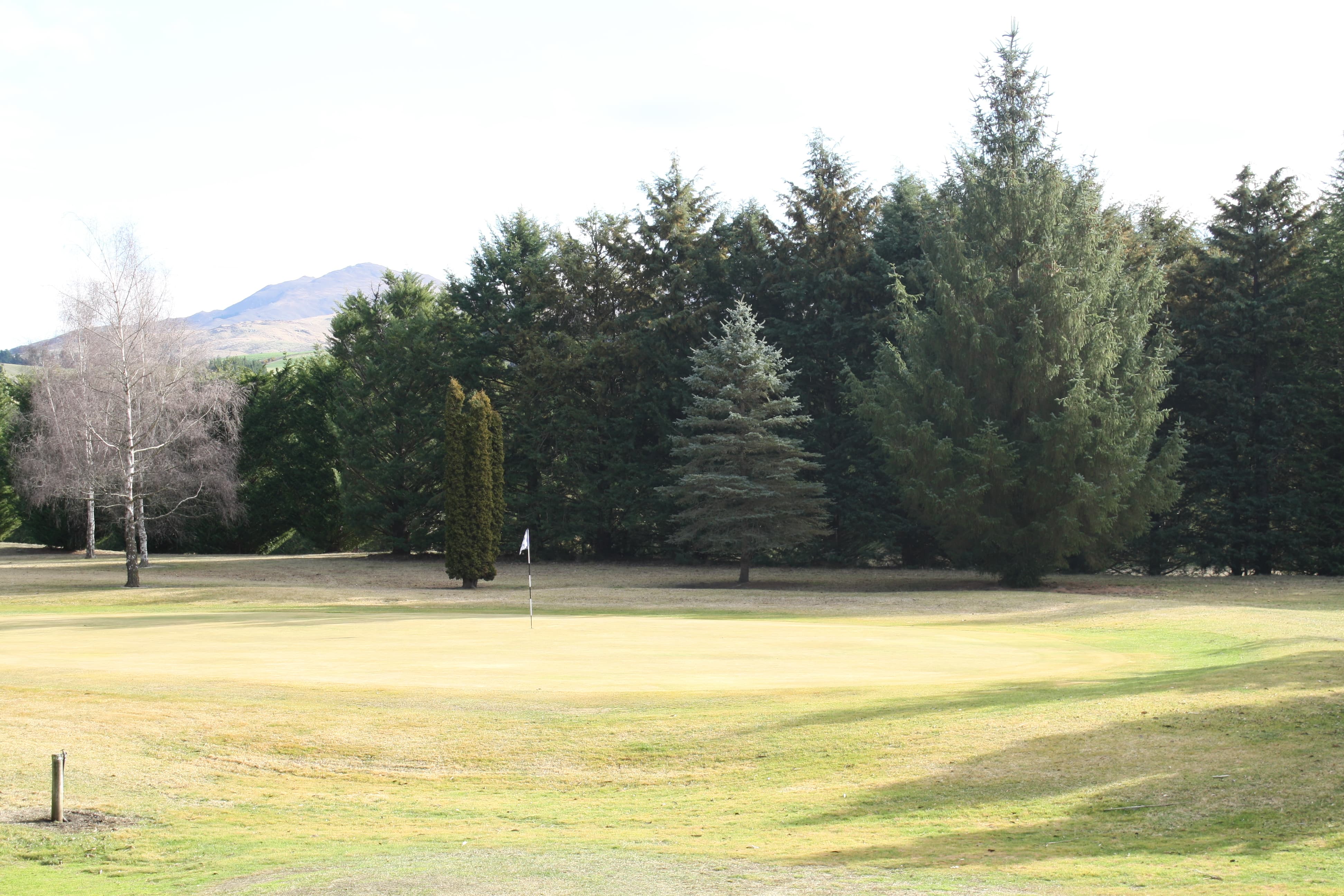 Image of golf course